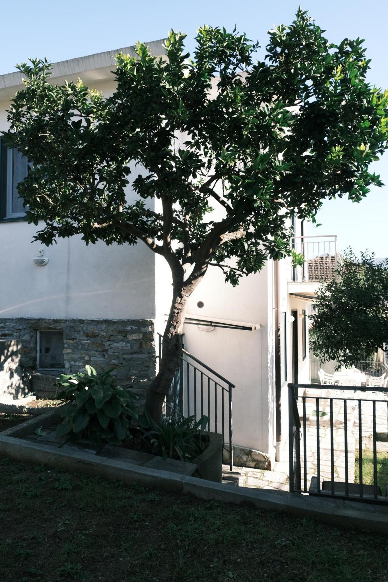 Giorgio's Flowery House By Portofinovacanze San Massimo (Liguria)